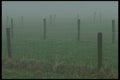 490028 Fences In The Fog, Holland A4 Photo Print