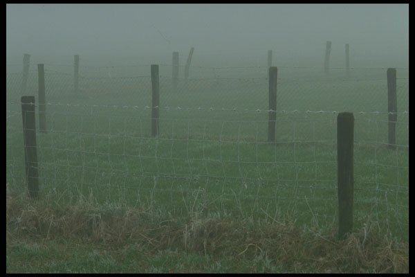 490028 Fences In The Fog, Holland A4 Photo Print