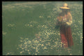 490037 Lady In The Field A4 Photo Print