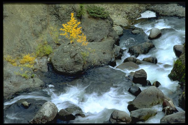 490043 Rushing Water, Yellowstone River Canyon A4 Photo Print