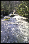 490048 Downstream At Stringtown Road In Elkmont, Great Smokies A4 Photo Print