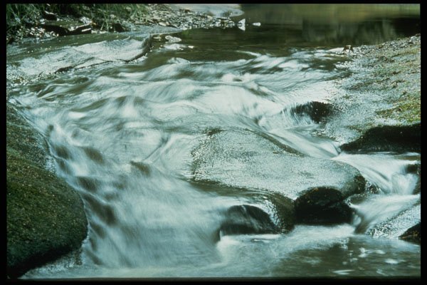 490049 Placid Salt Water Stream In Nova Scotia, Canada A4 Photo Print