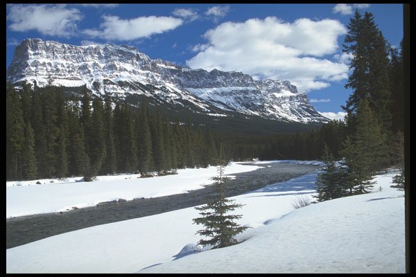 490050 Rocky Mountain Stream In The Winter, Canada A4 Photo Print