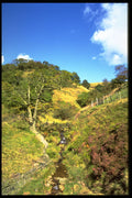 490053 Hill Stream In West Yorkshire Moors, England A4 Photo Print