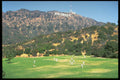 490063 Hollywood Cricket In Los Angeles A4 Photo Print