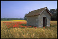 490072 Loire, France A4 Photo Print