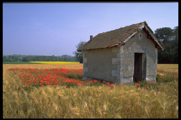 490072 Loire, France A4 Photo Print