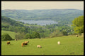 490084 Ambleside And Windermere From Above, Cumbria, England A4 Photo Print