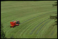 490093 Harvesting Hay Crop A4 Photo Print