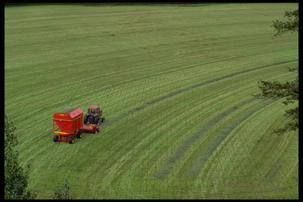 490093 Harvesting Hay Crop A4 Photo Print
