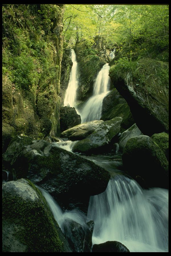 490095 Stock Gyhll Force, Ambleside, Cumbria, England A4 Photo Print