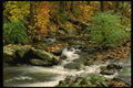 490098 Autumn Delight, Maryland, USA A4 Photo Print