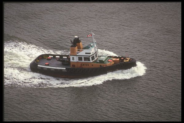 491015 Cates Number Eight A4 Photo Print