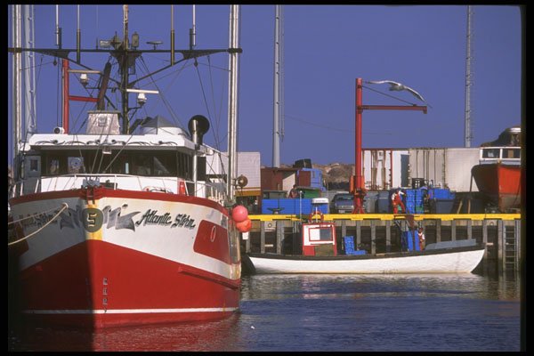 491021 Ocean bound Fishing Boats, St. John's, Newfoundland A4 Photo Print