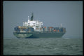 491036 Container Ship, Oriental Bay A4 Photo Print