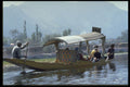 491074 Dal Lake Water Taxi, Kashmir, India A4 Photo Print