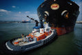 491091 Tugboat A4 Photo Print