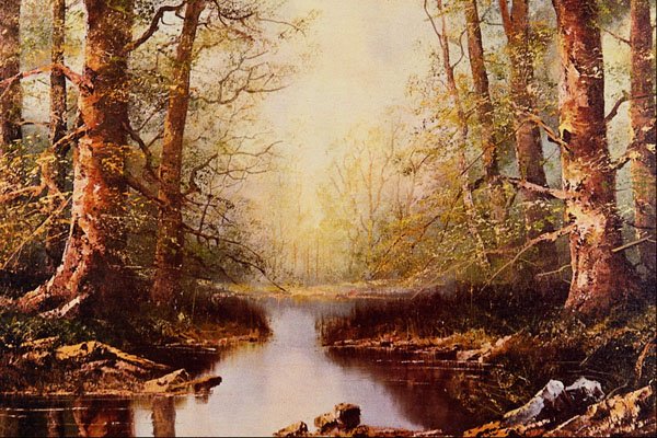 492096 Forest Scene , Jan Van De Heyden A4 Photo Print
