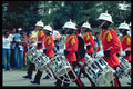 493009 Bermuda Regiment Band A4 Photo Print