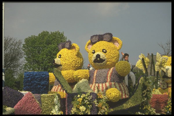 493030 Teddy Bear In The Bloemencorso, The Netherlands A4 Photo Print