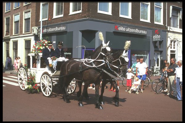 493035 Old Horse drawn Coach In Bloemencorso, The Netherlands A4 Photo Print