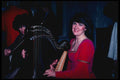 494017 Harpist, Bunratty Castle A4 Photo Print