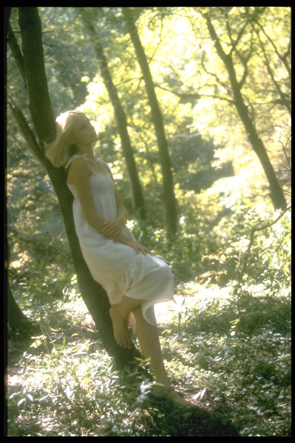 494046 Woman In Woods A4 Photo Print