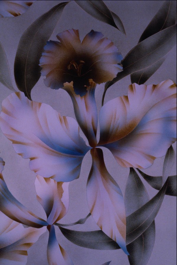 495021 Cosmic Perfume A4 Photo Print