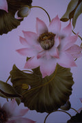 495026 Star Flash A4 Photo Print