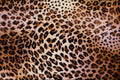 495058 Sensuality A4 Photo Print