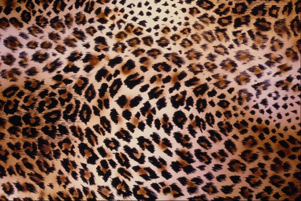 495058 Sensuality A4 Photo Print