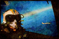 496014 F 14 RIO And F 14 Off Wing A4 Limited Edition Watercolour Print