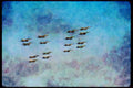 496055 Sixteen FA 18 Hornets Fly By Carriers In Formation A4 Limited Edition Watercolour Print
