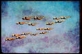496070 Sixteen FA 18 Hornets Fly By Carrier In Formation A4 Limited Edition Watercolour Print