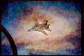 496092 Bottom View Of An F 14 In Flight A4 Limited Edition Watercolour Print