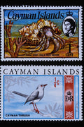 497015 Animals, Caymen Islands A4 Photo Print