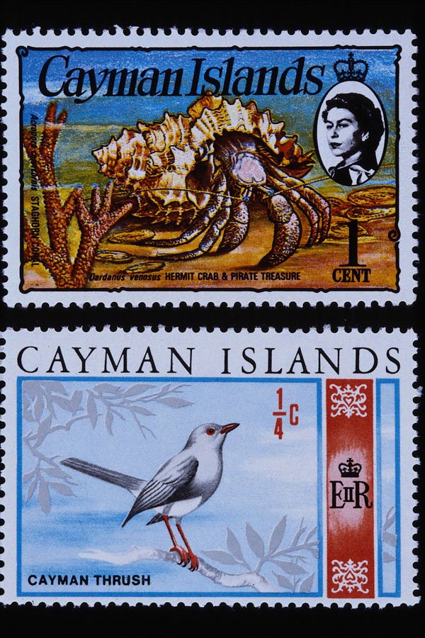 497015 Animals, Caymen Islands A4 Photo Print