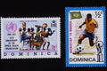497022 Stamps Of Dominica A4 Photo Print