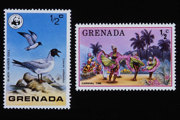 497034 Stamps Of Grenada A4 Photo Print