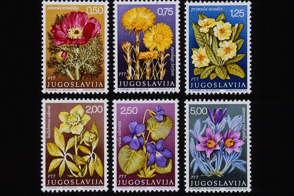 497043 Flowers, Yugoslavia A4 Photo Print