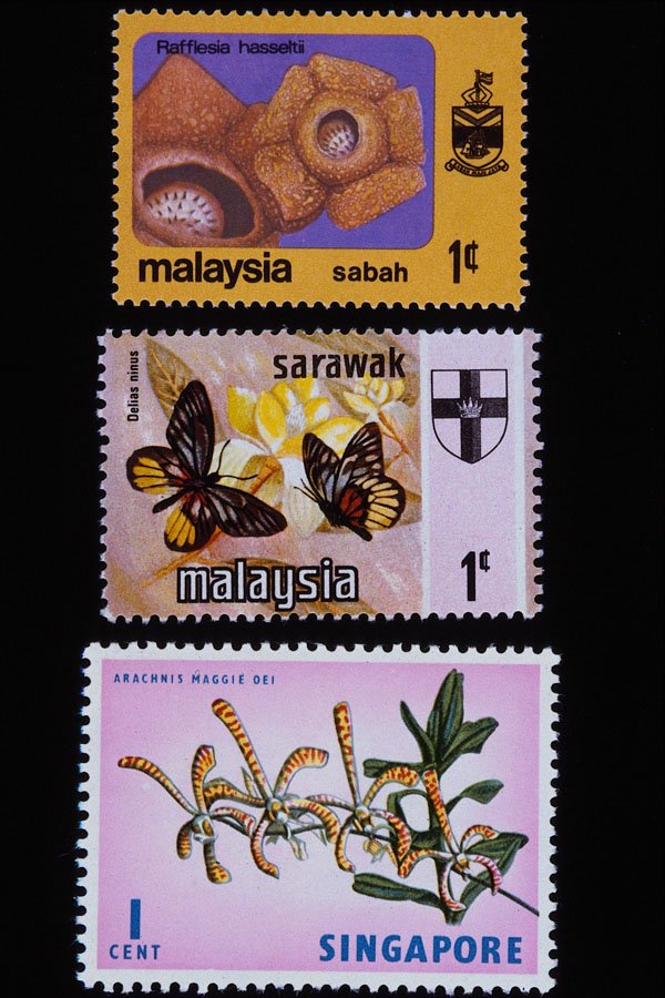 497046 Nature, Malaysia A4 Photo Print