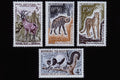497050 Animals, Madagascar, Mauritania And Senegal A4 Photo Print
