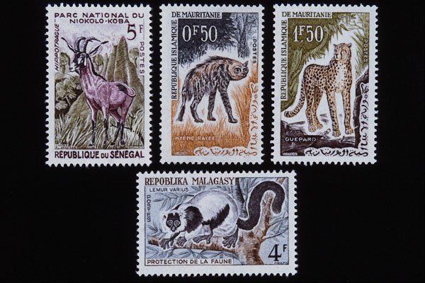 497050 Animals, Madagascar, Mauritania And Senegal A4 Photo Print