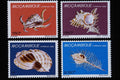 497051 Shells, Mozambique A4 Photo Print