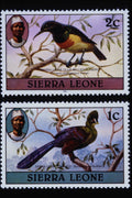 497071 Birds, Sierra Leone A4 Photo Print