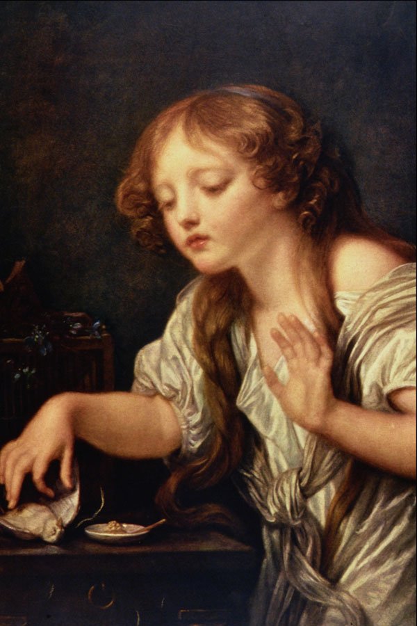 498033 L'Oiseau Mort , Jean Baptiste Greuze A4 Photo Print