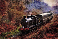 499000 Q Class No. 541 Near Freshfield On The Bluebell Railway A4 Limited Edition Watercolour Print