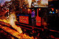 499011 Class A1X At Sheffield Park Station On The Bluebell Railway A4 Limited Edition Watercolour Print