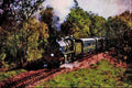 499019 No. 1618 U Class At Horsted Keynes A4 Limited Edition Watercolour Print