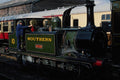 499024 Terrier Sutton At Tenterden A4 Photo Print